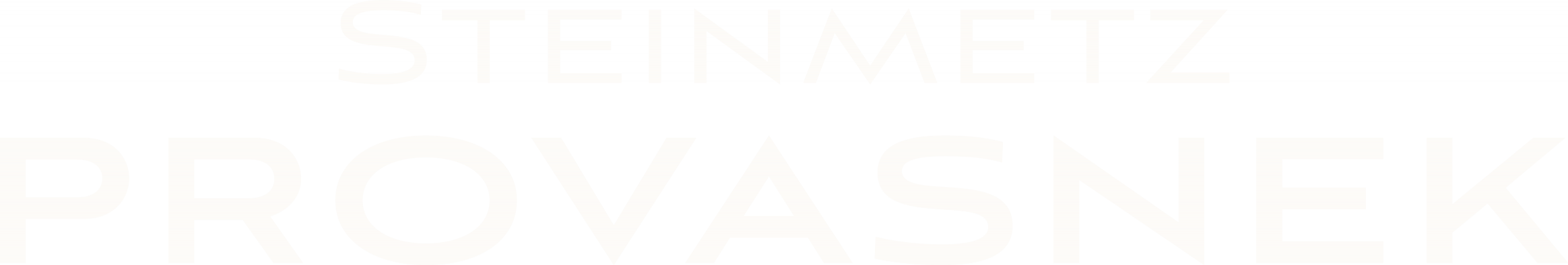 Steinmetz Provasnek Graz